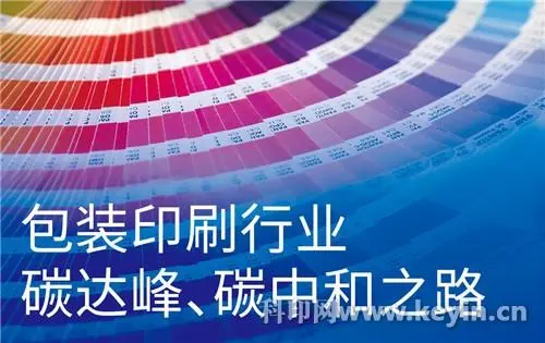 煙臺(tái)市政協(xié)委員張彤：促進(jìn)印刷行業(yè)集團(tuán)化運(yùn)作
