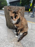 CPP114通訊員