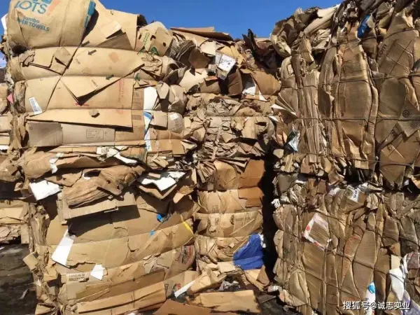 美國新增5家箱板紙廠：對全球OCC價格和市場格局的影響！
